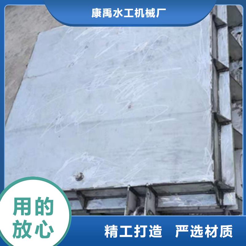 鋼閘門品種全