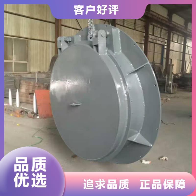鋼閘門專業(yè)品質(zhì)
