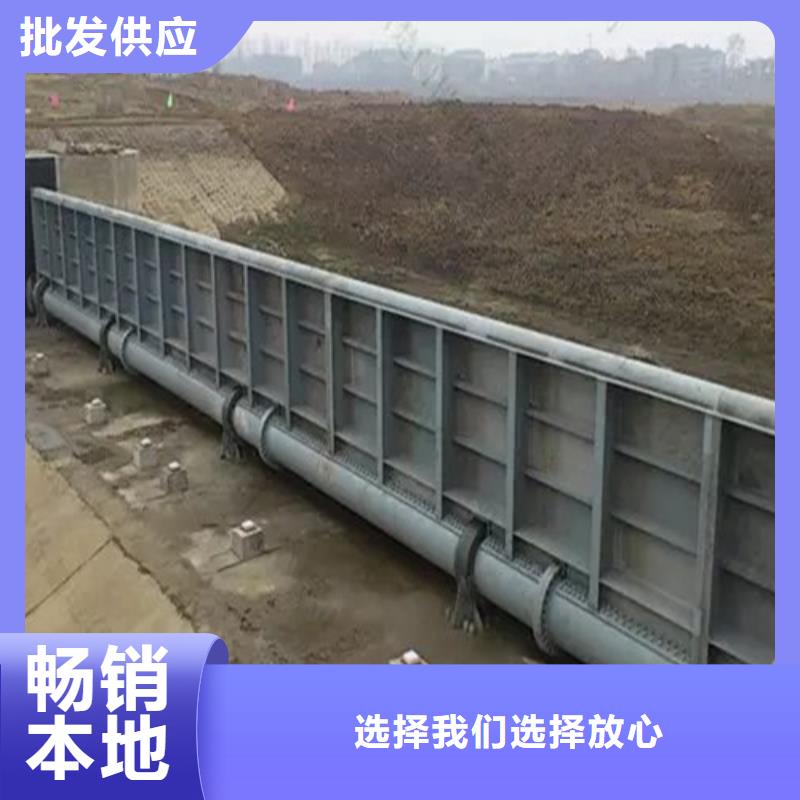  钢闸门专业生产厂家