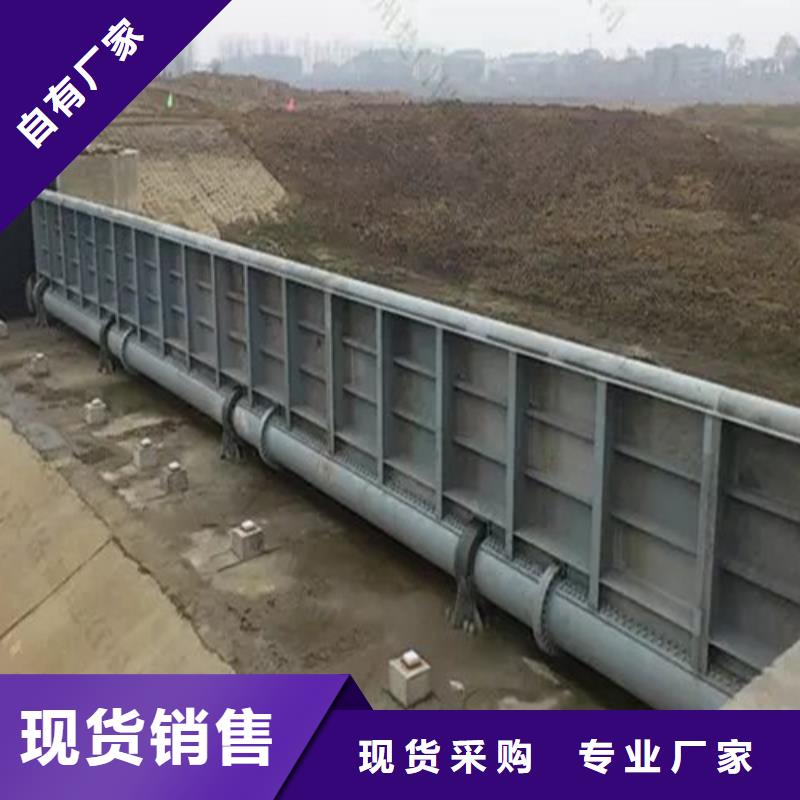 鋼閘門(mén),鑄鐵閘門(mén)廠家嚴(yán)選用料