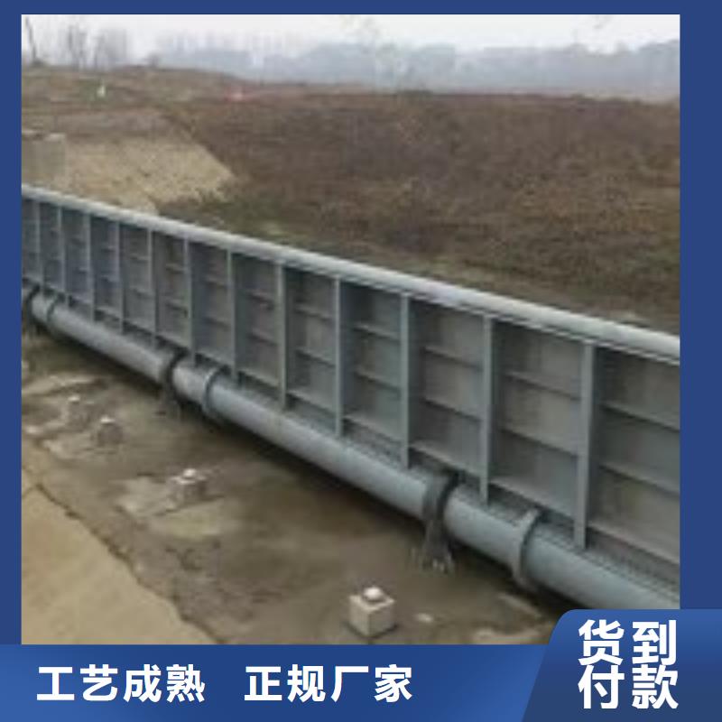 鋼閘門_鋼制拍門廠家質(zhì)檢嚴(yán)格放心品質(zhì)