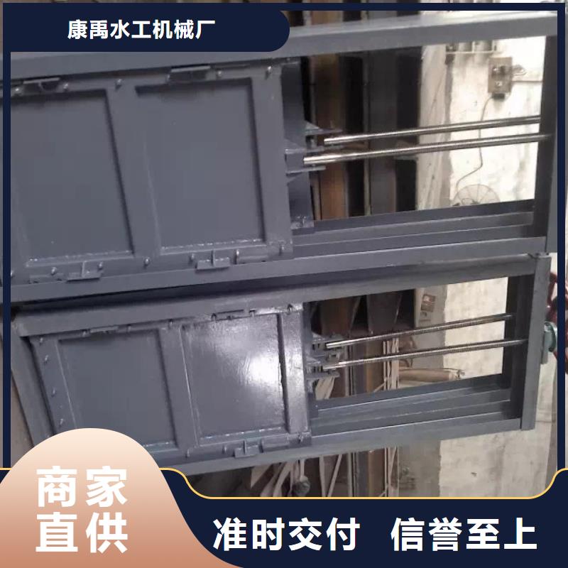 鋼閘門污水除污機追求細節(jié)品質(zhì)