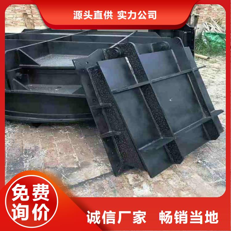  鋼閘門專業(yè)信賴廠家