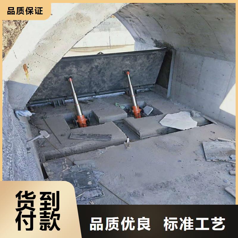 鋼閘門河道清污機(jī)匠心工藝
