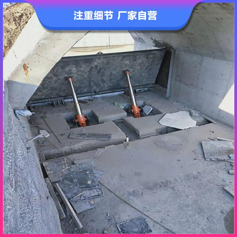  钢闸门品种全