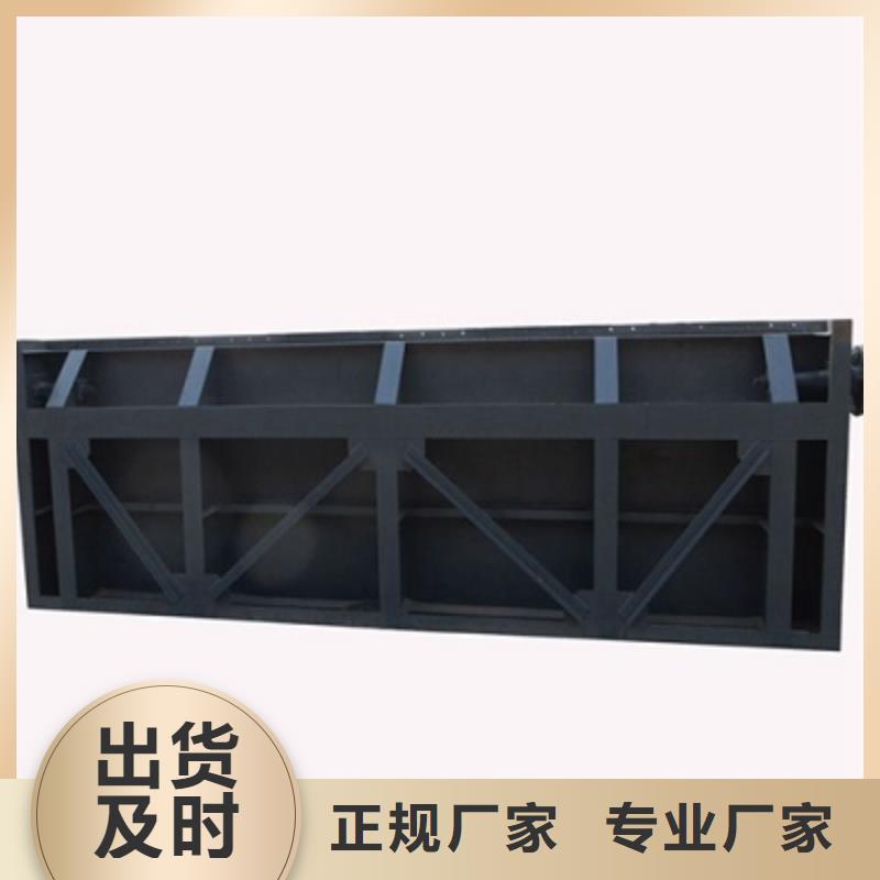 鋼閘門(mén)_【抓斗清污機(jī)】用心做品質(zhì)
