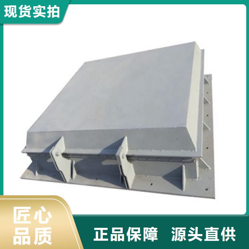 鋼閘門(mén)_【抓斗清污機(jī)】用心做品質(zhì)