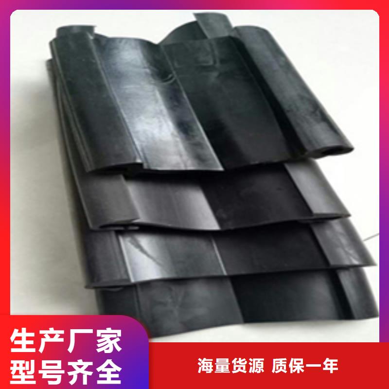 伸縮縫膠條更換施工隊伍