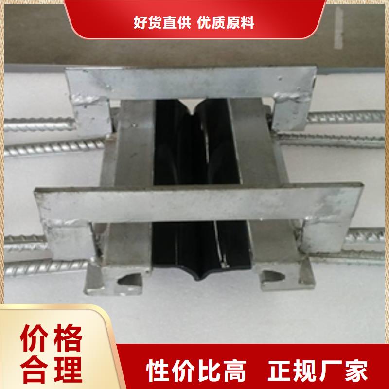 橋梁伸縮縫膠條更換施工隊(duì)伍