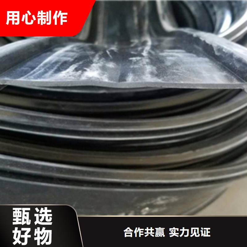橋梁伸縮縫膠條更換施工隊(duì)伍