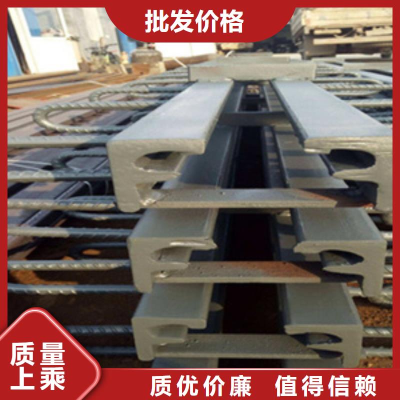 Z型橋梁伸縮縫按圖紙定做