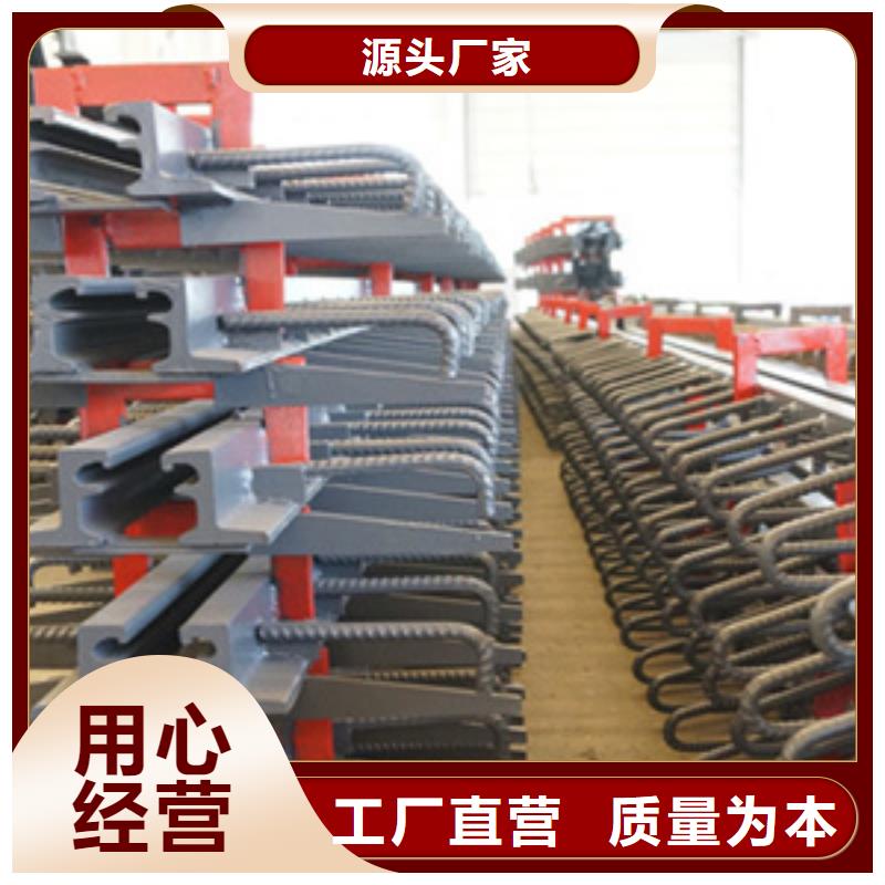 橋梁伸縮縫C型