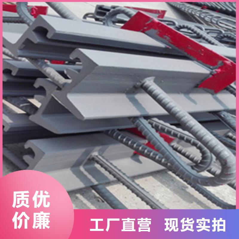 橋梁伸縮縫C型