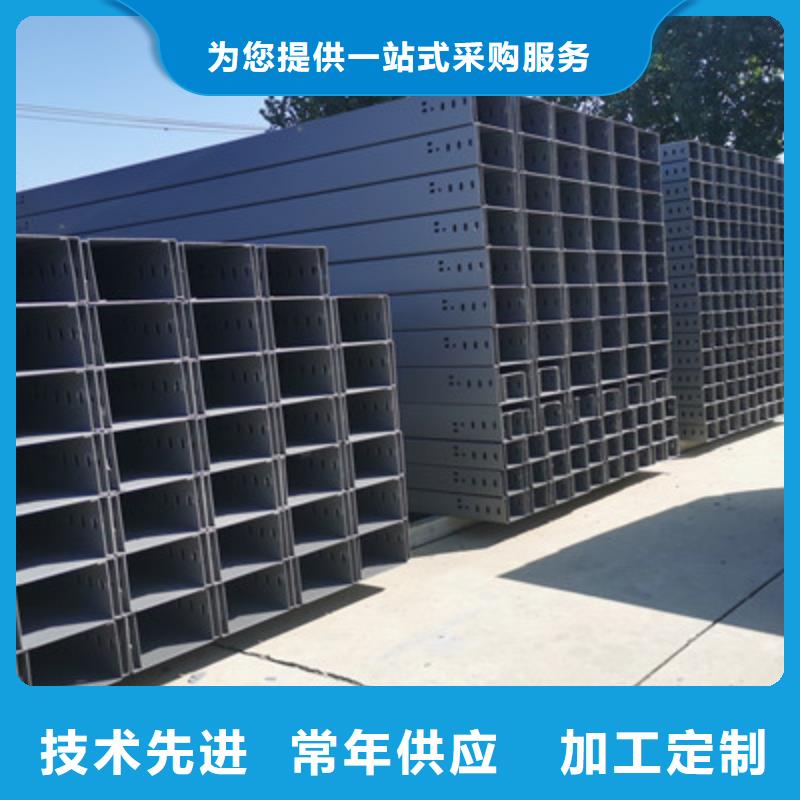 热镀锌带孔托盘桥架厂家欢迎您批发价格