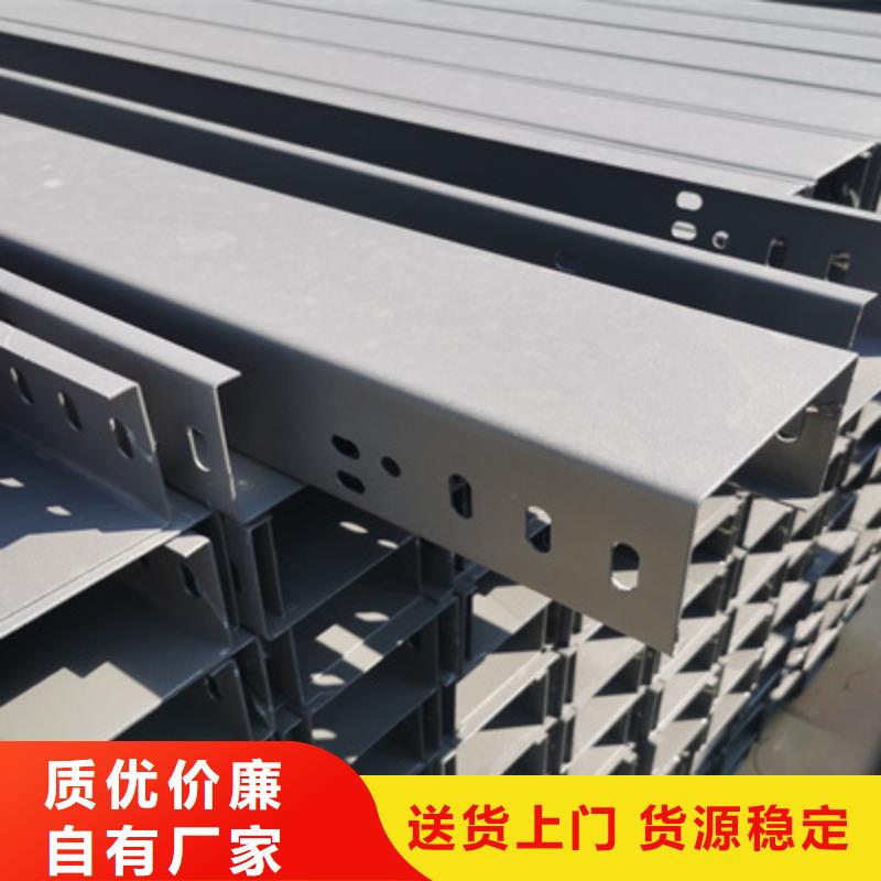 豎井電纜橋架100*100廠家規(guī)格全