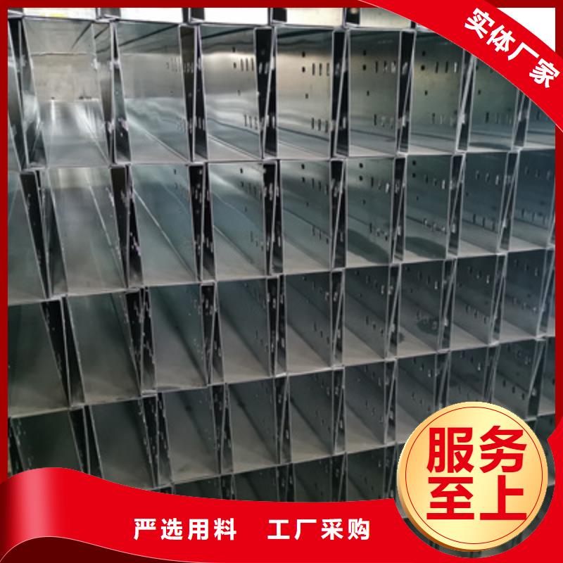 大跨距電纜橋架100*100廠家可定制