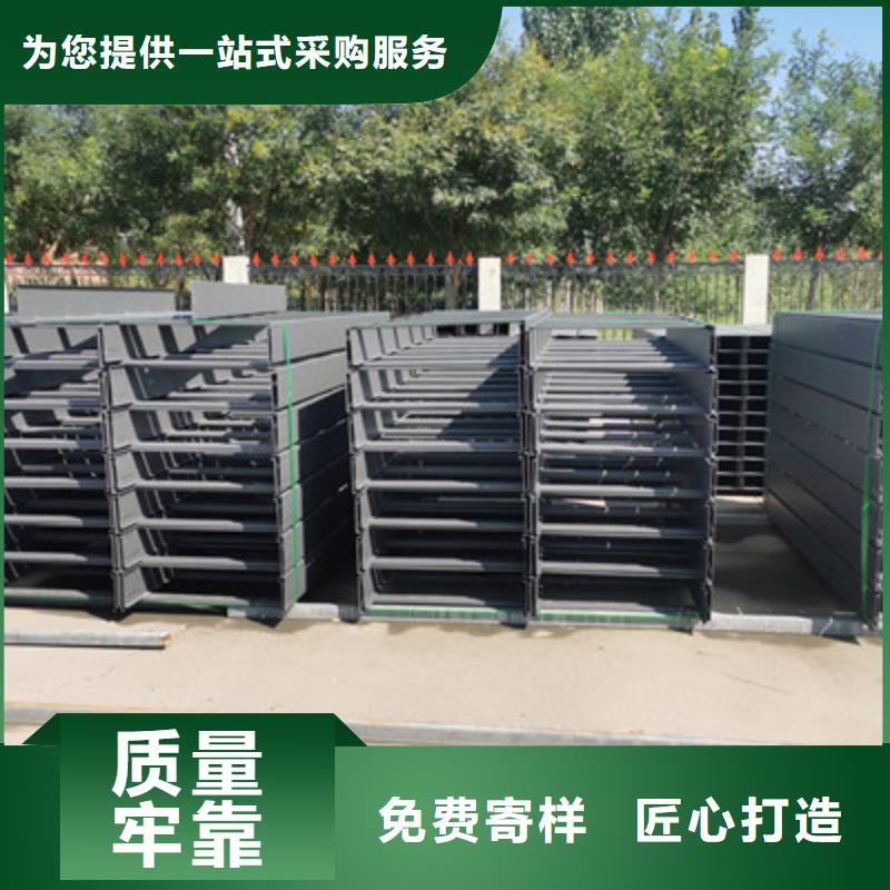 热镀锌带孔托盘桥架厂家欢迎您质优价廉