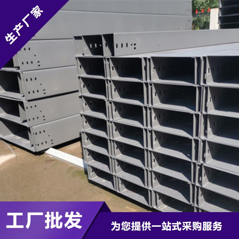 大跨距槽式橋架專(zhuān)業(yè)生產(chǎn)廠家歡迎您