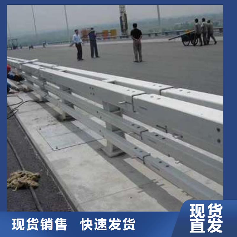橋梁護(hù)欄廠家售后無憂