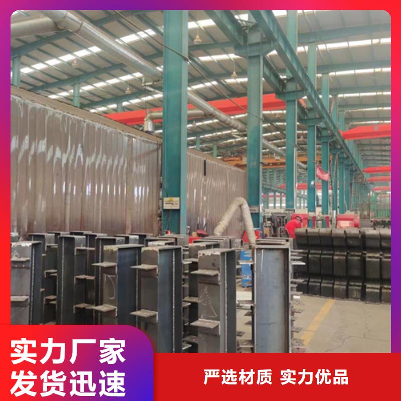 護(hù)欄 人車分流欄經(jīng)驗豐富質(zhì)量放心