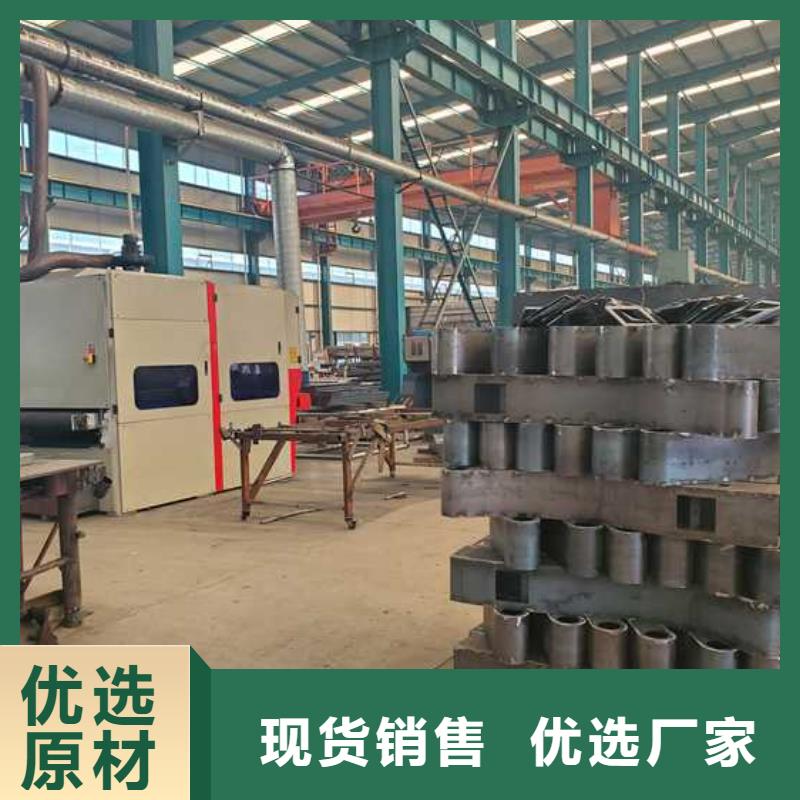 景觀護(hù)欄 燈光護(hù)欄正規(guī)廠家