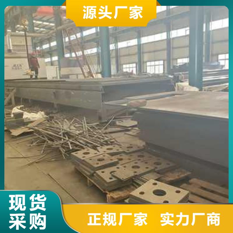 橋上城市天橋欄桿找聚晟護(hù)欄制造有限公司