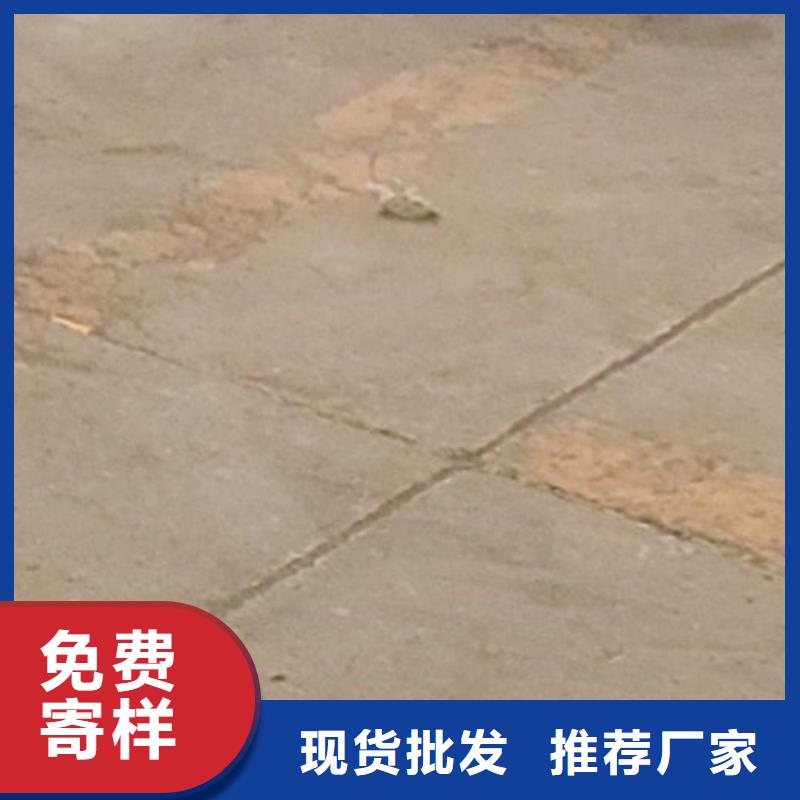 供應(yīng)批發(fā)橋上防撞鋼護欄-大型廠家