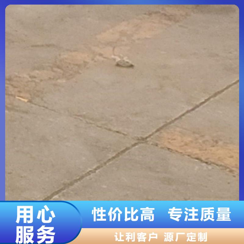 道路防撞欄桿、道路防撞欄桿生產(chǎn)廠家-價(jià)格實(shí)惠