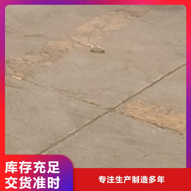 护栏【城市景观防护栏】厂家工艺先进