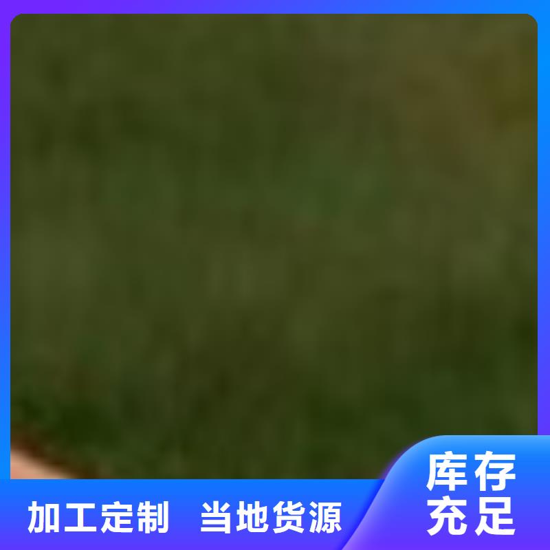 不銹鋼燈光欄桿實體廠家