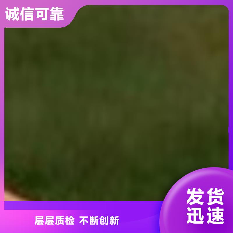 護(hù)欄_不銹鋼景觀護(hù)欄打造行業(yè)品質(zhì)