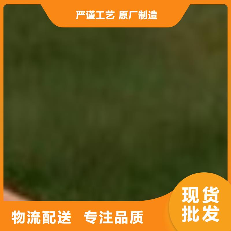護(hù)欄 橋梁防撞護(hù)欄廠量大從優(yōu)