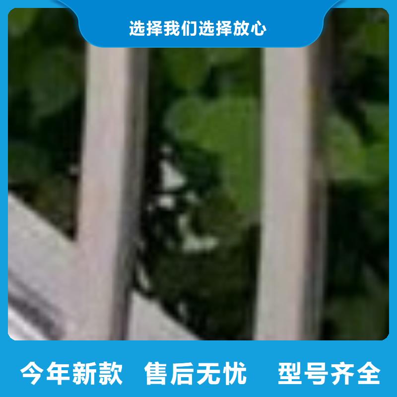 橋梁機動車道護欄-一心為客戶