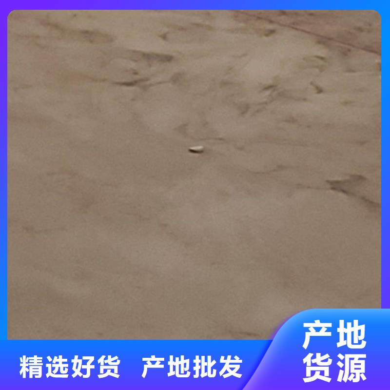 護欄橋梁防撞護欄廠合作共贏