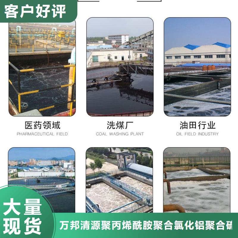 洗沙白藥資源