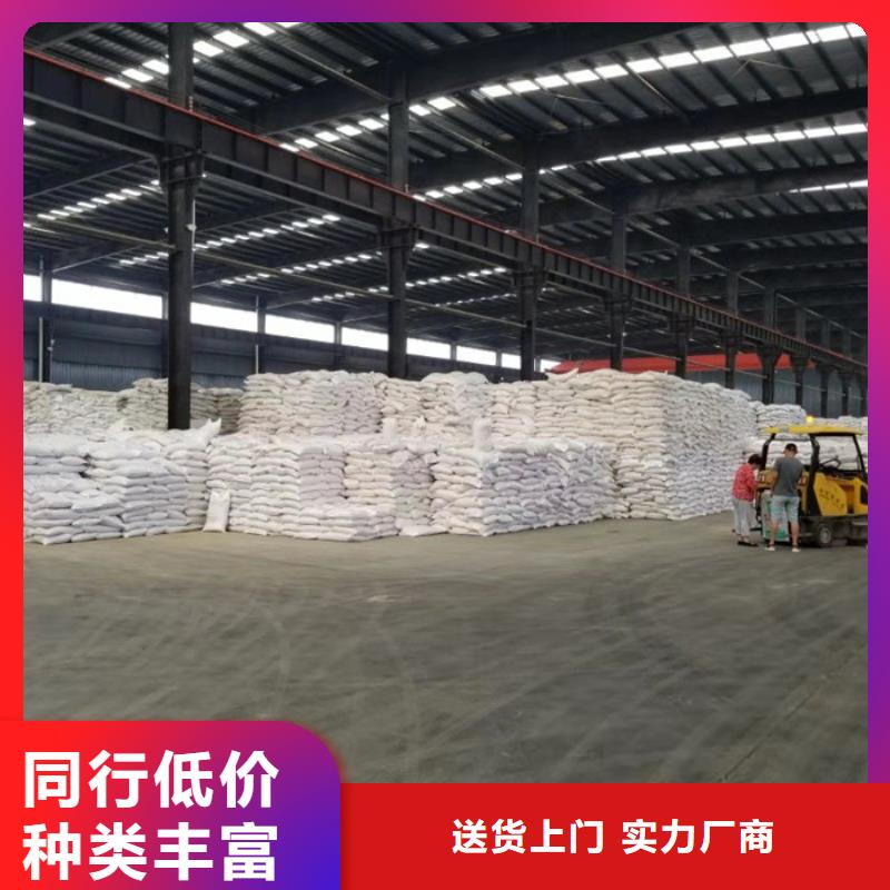 洗沙白藥資源