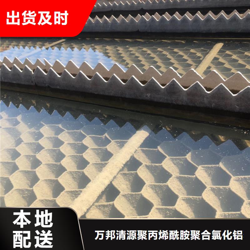 洗沙白药供应商