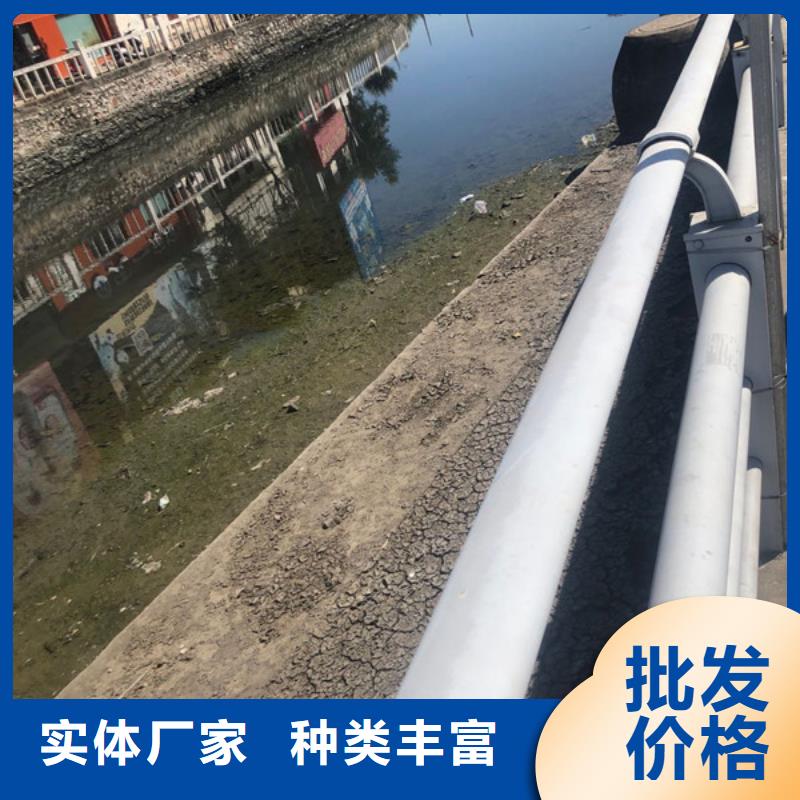 洗沙白药供应商