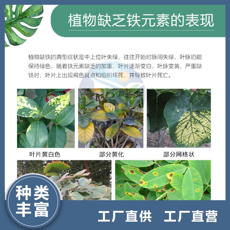定做硫酸亞鐵對植物的作用和功效顆粒硫酸亞鐵的公司