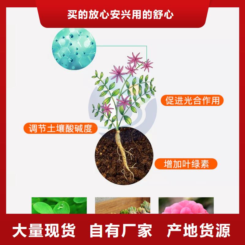 硫酸亚铁的作用和用途厂家
