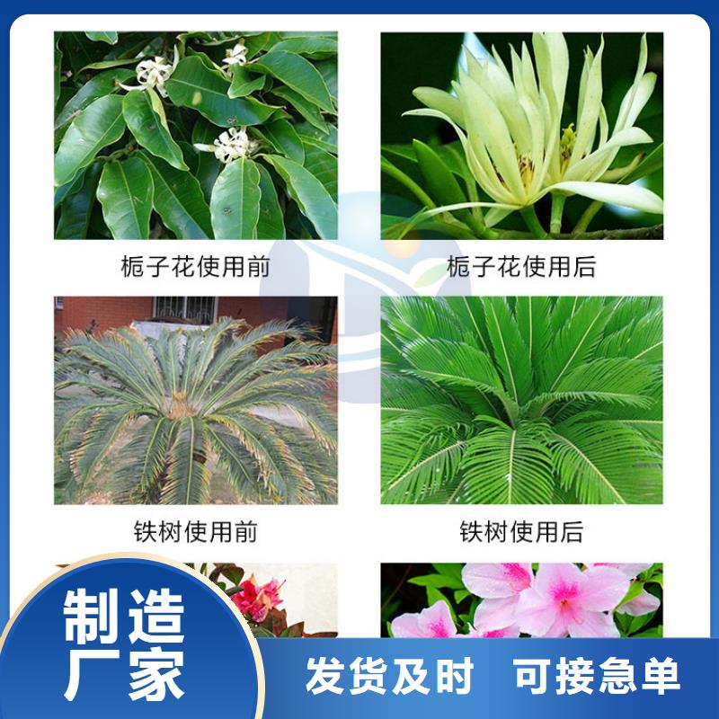 一水硫酸亞鐵-誠信為本