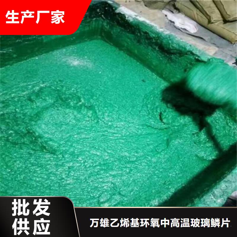  玻璃鱗片膠泥優(yōu)選廠家