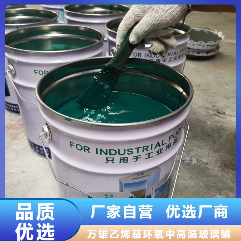 玻璃鱗片膠泥優(yōu)選廠家