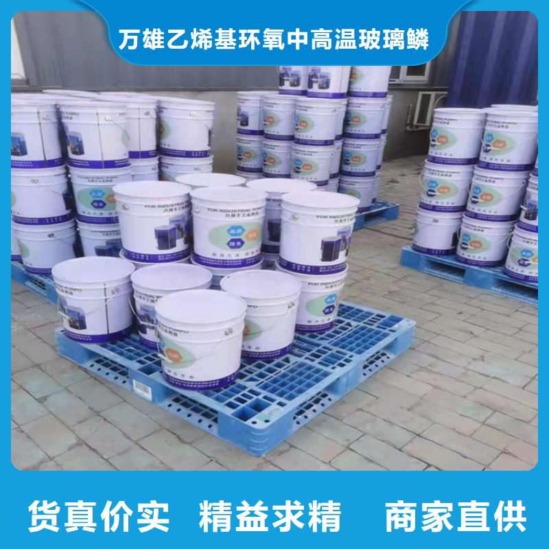漆玻璃鱗片膠泥N年專注