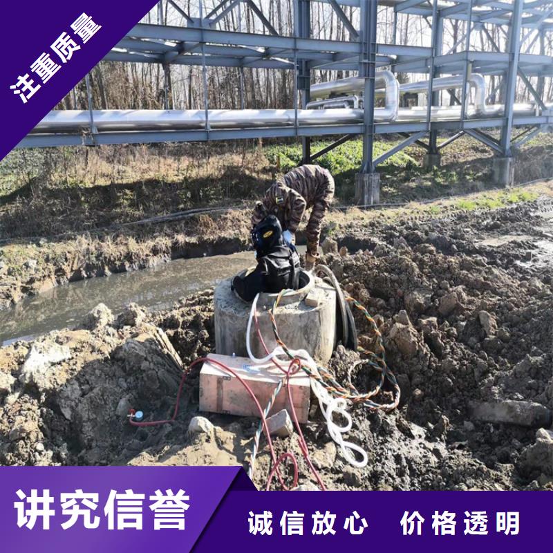 水下作業(yè)蛙人救援團隊專業(yè)承接