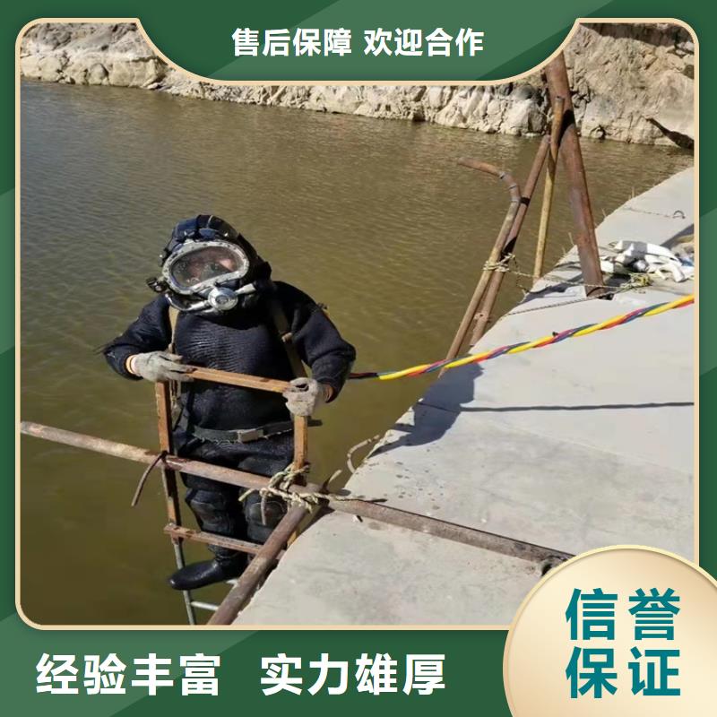 水下作业水下救援机器人品质优
