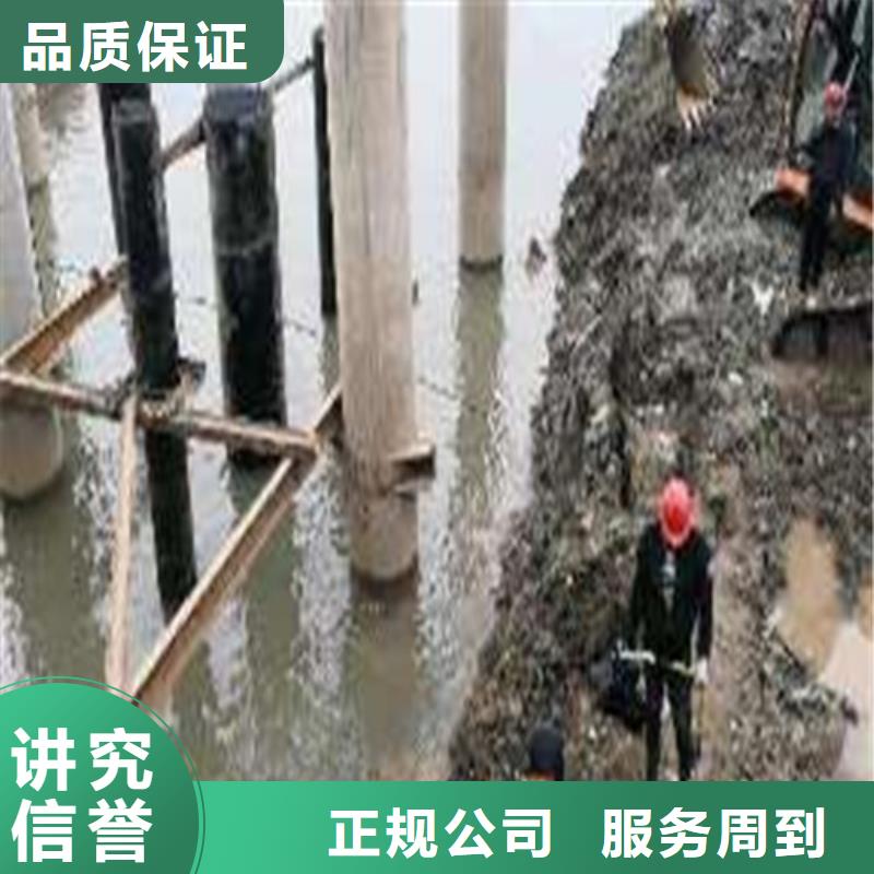 水下作業(yè)水下照相服務知名公司