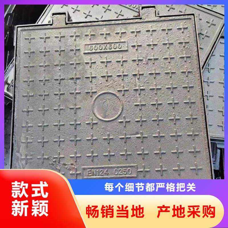 白沙縣球墨鑄鐵單篦子來圖定做