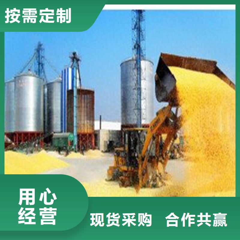 小粮仓钢板仓现货充足