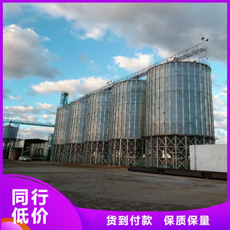 大型糧食存儲設(shè)備廠家直銷-價格實(shí)惠